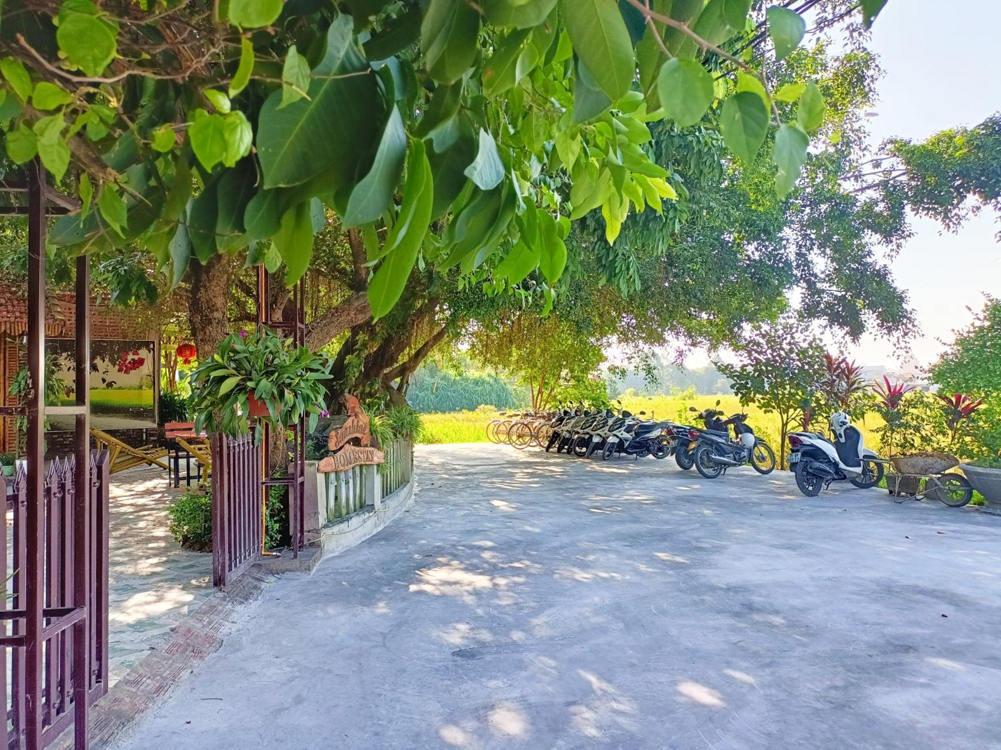 Tam Coc Sunshine Homestay Ninh Bình Exteriör bild
