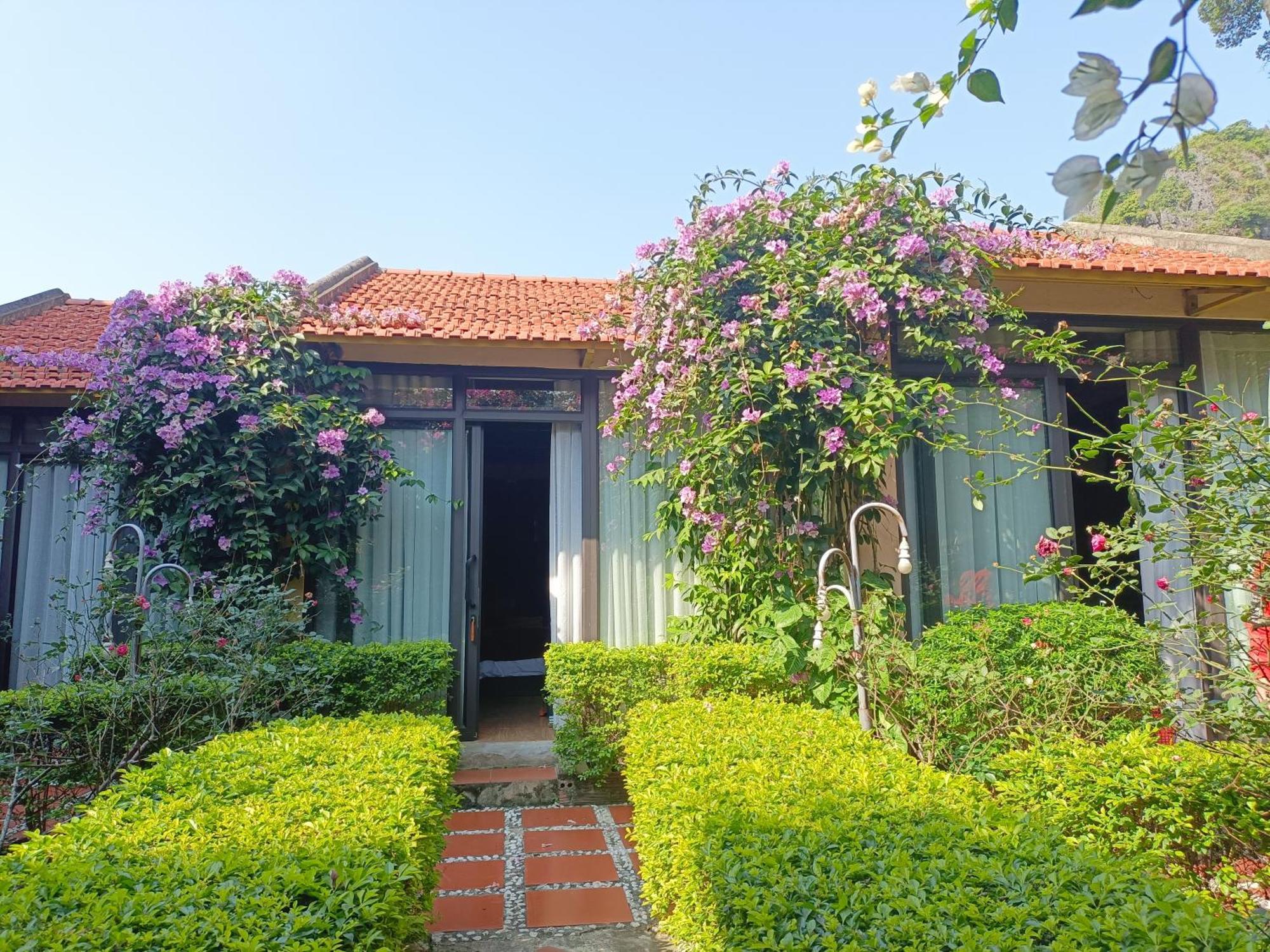 Tam Coc Sunshine Homestay Ninh Bình Exteriör bild