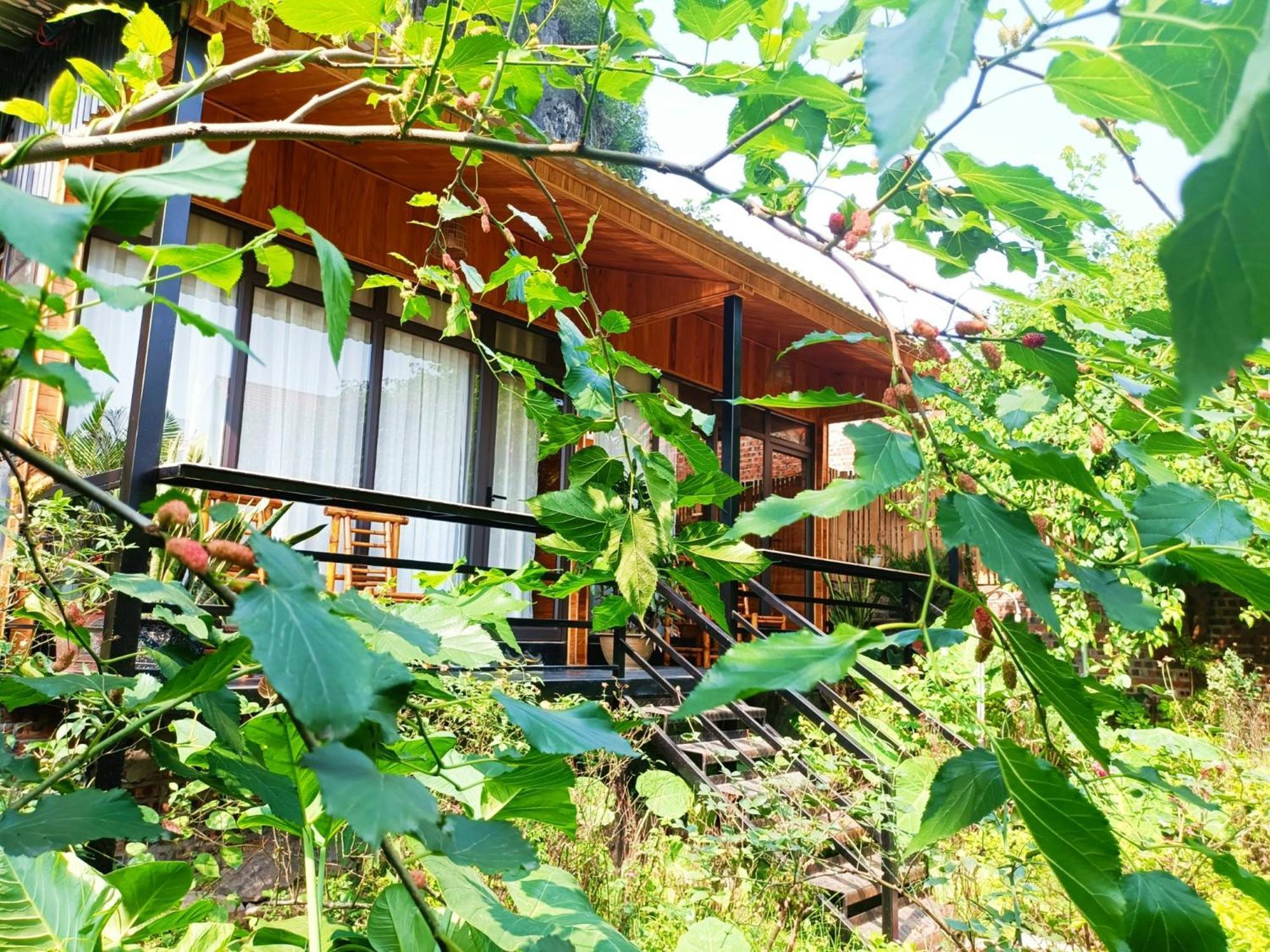 Tam Coc Sunshine Homestay Ninh Bình Exteriör bild
