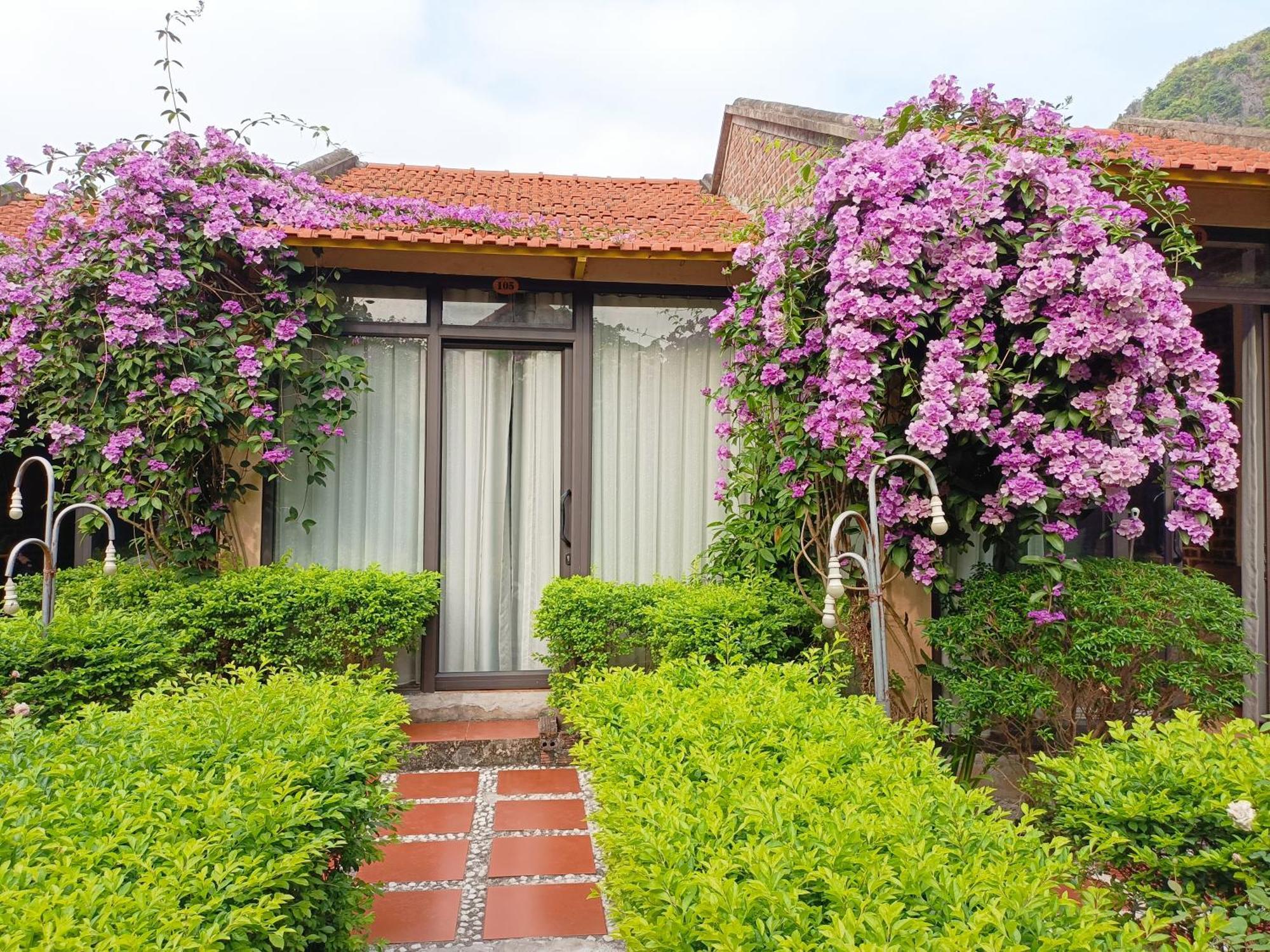 Tam Coc Sunshine Homestay Ninh Bình Exteriör bild