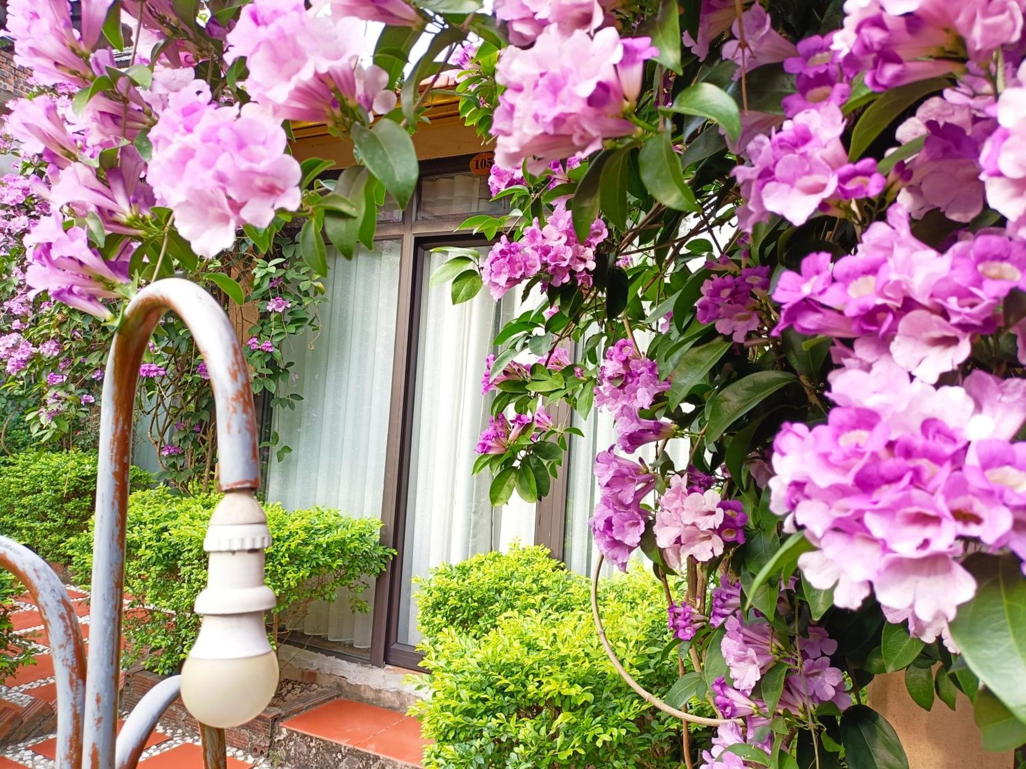 Tam Coc Sunshine Homestay Ninh Bình Exteriör bild