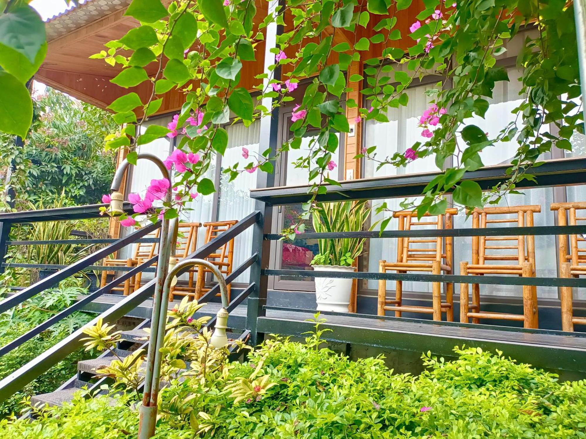Tam Coc Sunshine Homestay Ninh Bình Exteriör bild