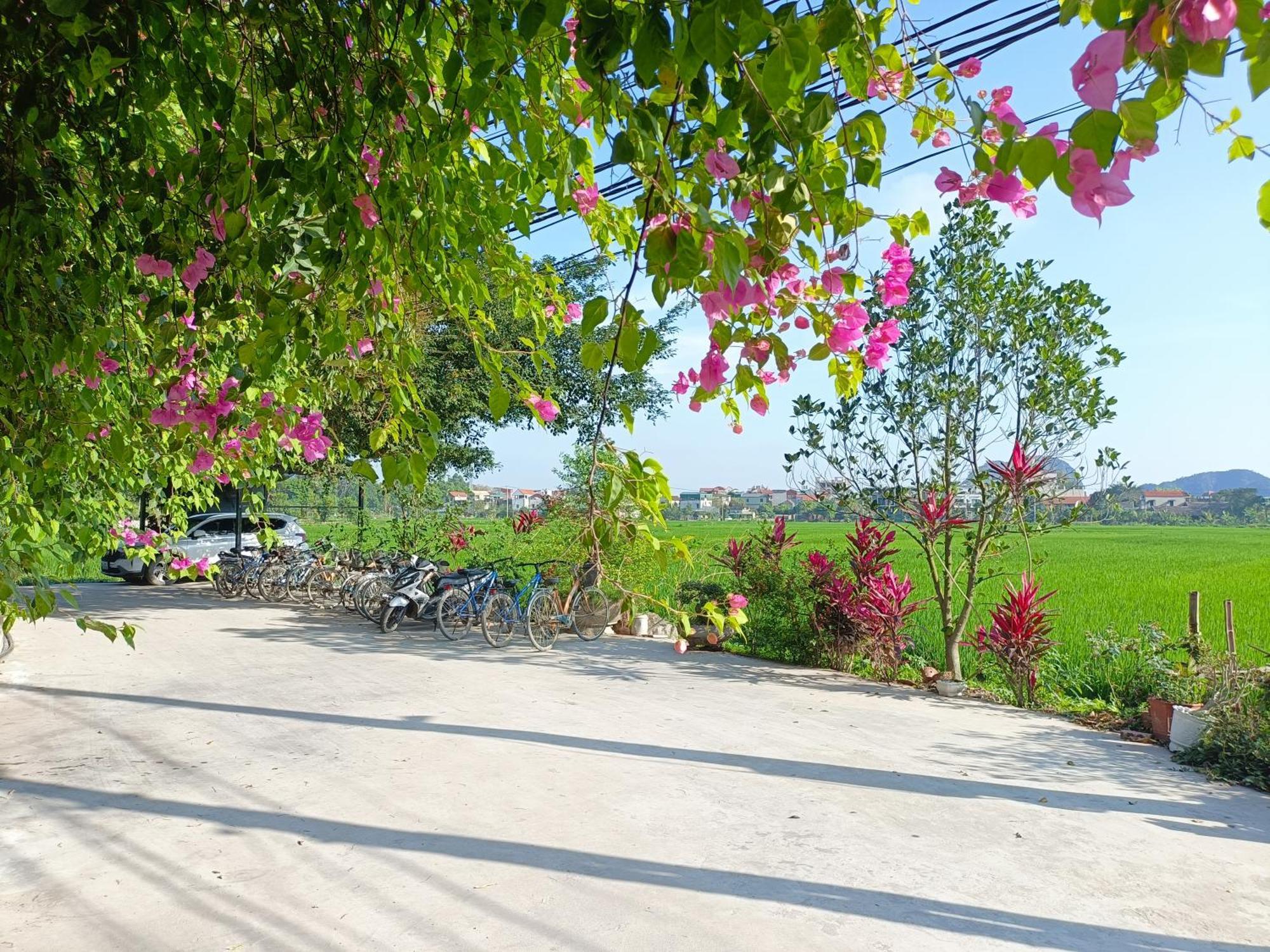 Tam Coc Sunshine Homestay Ninh Bình Exteriör bild