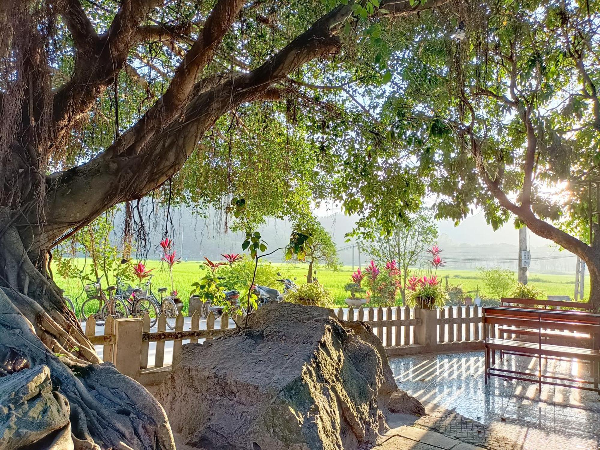 Tam Coc Sunshine Homestay Ninh Bình Exteriör bild