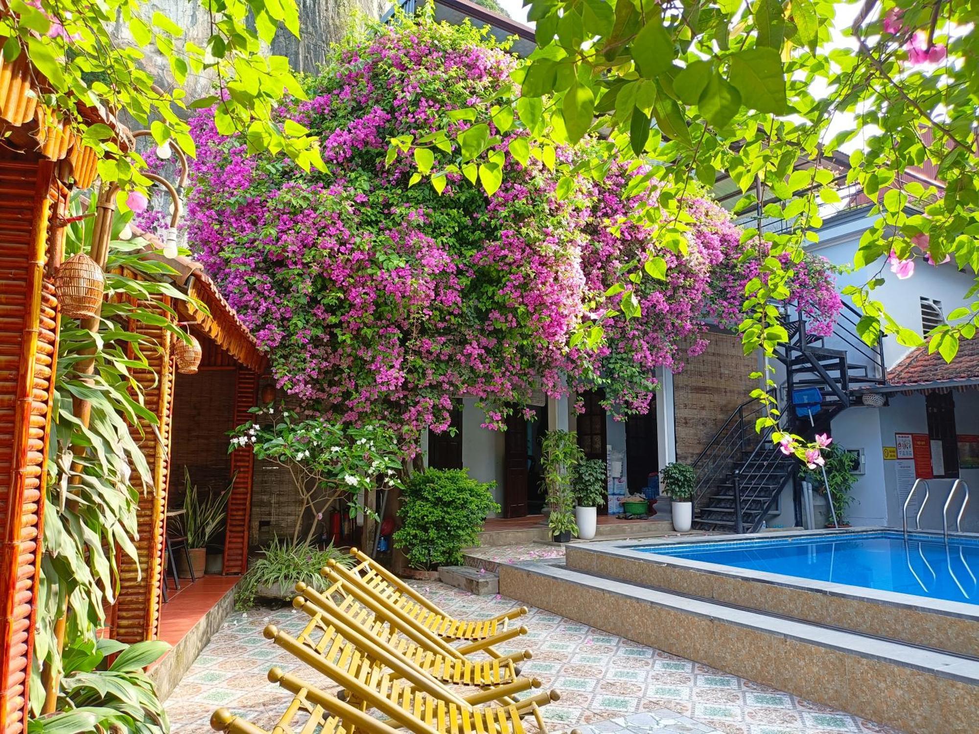 Tam Coc Sunshine Homestay Ninh Bình Exteriör bild